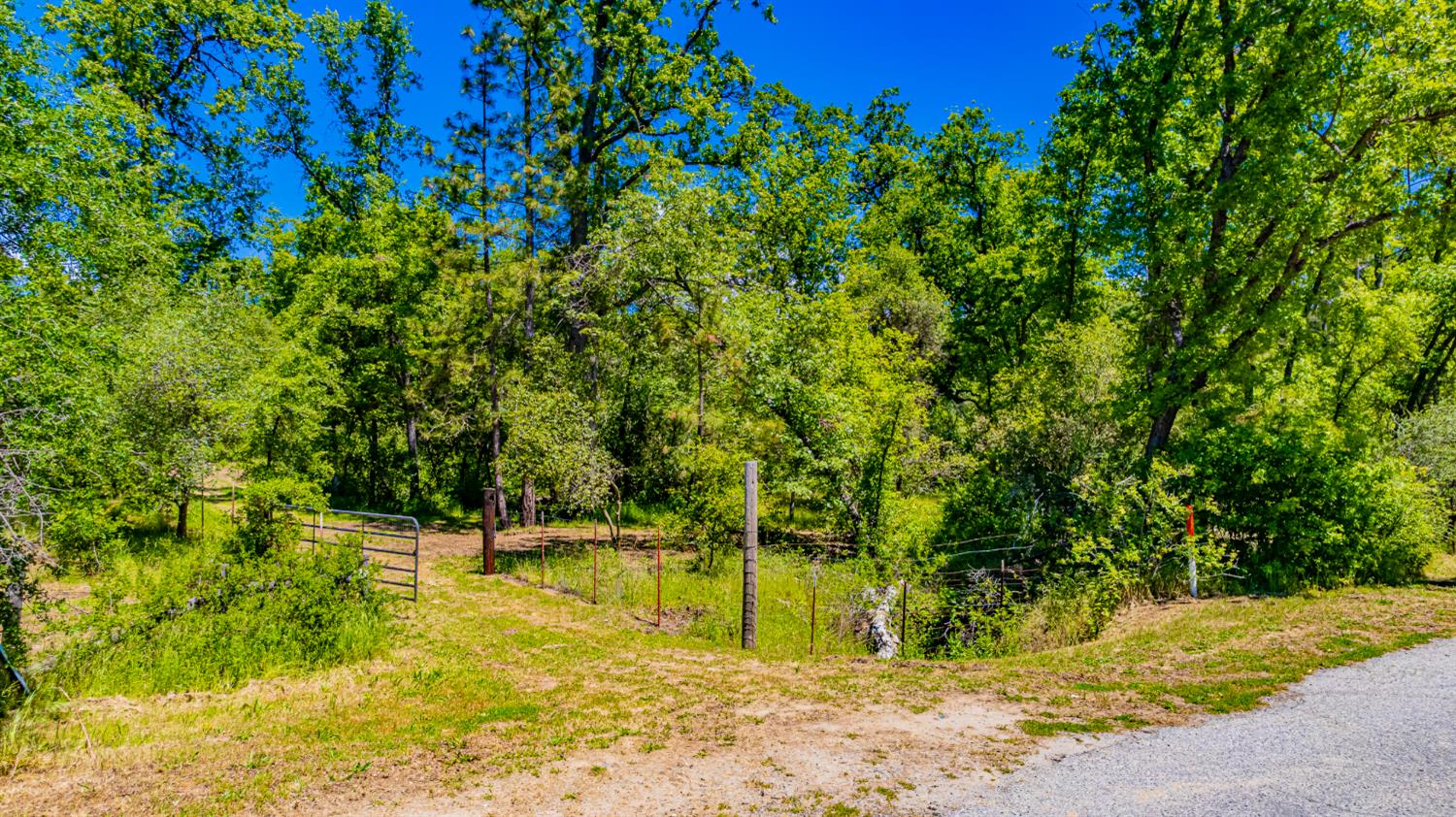 2 Road 601, Ahwahnee, CA 93601