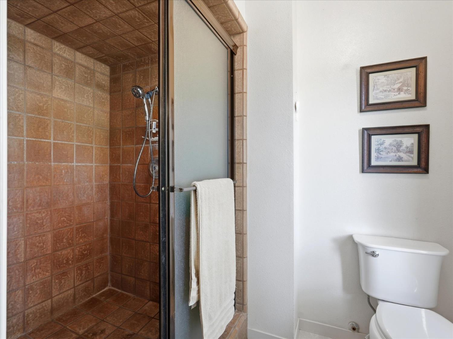 45577 Meadow Brook Way, Coarsegold, CA 93614