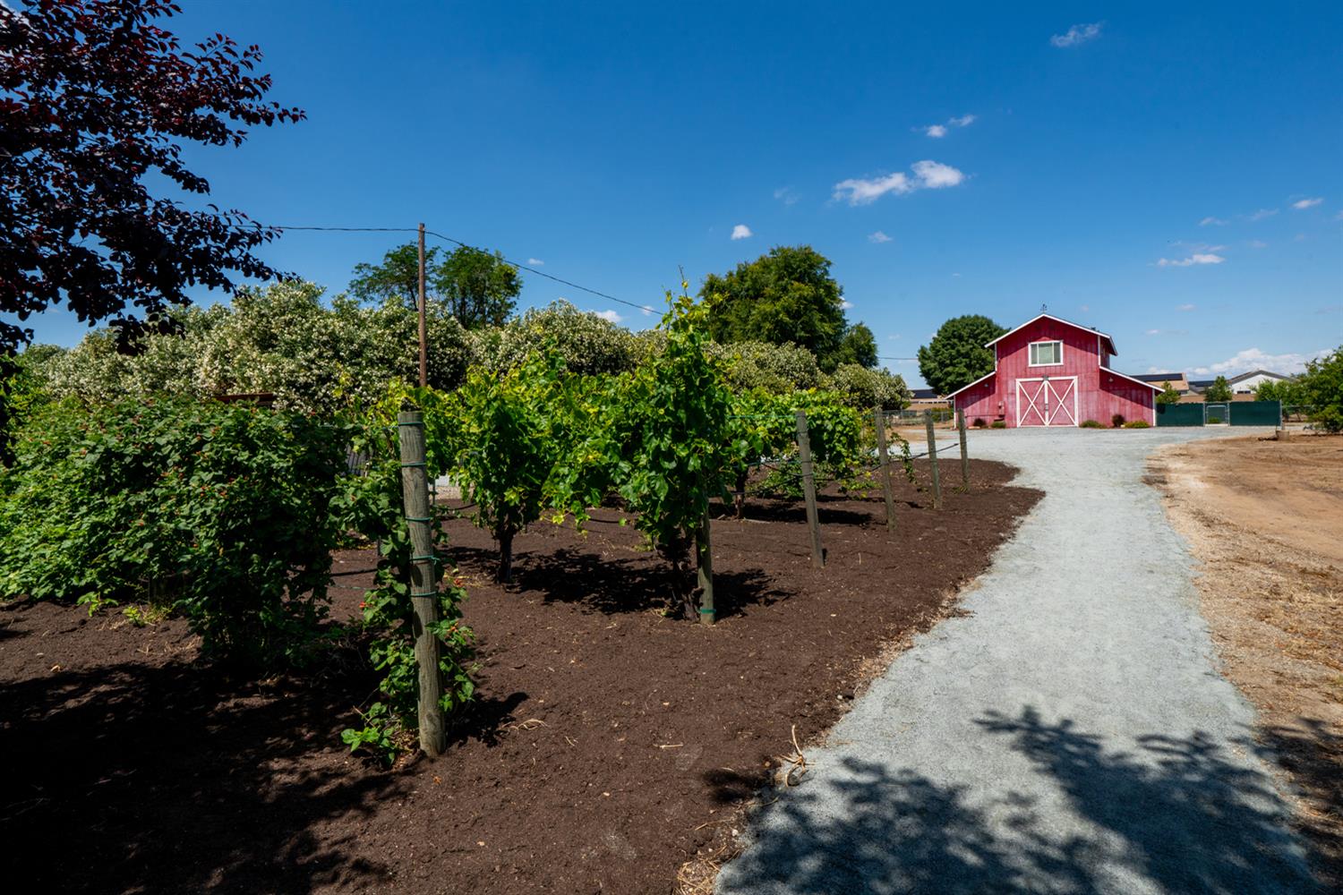 7044 E Clinton Ave, Fresno, CA 93737