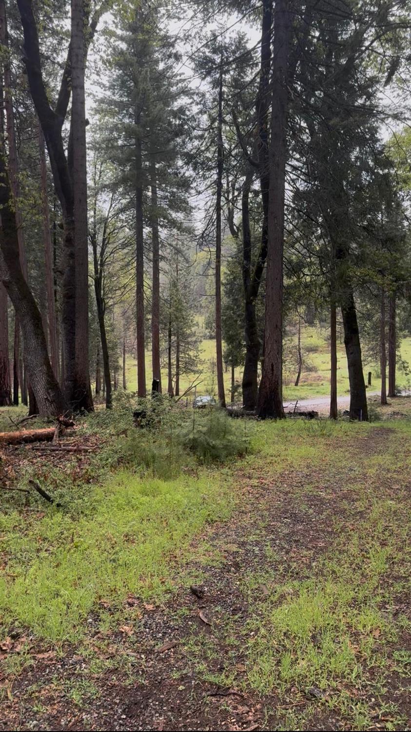 0 0 Lower Cressman, Auberry, CA 93602