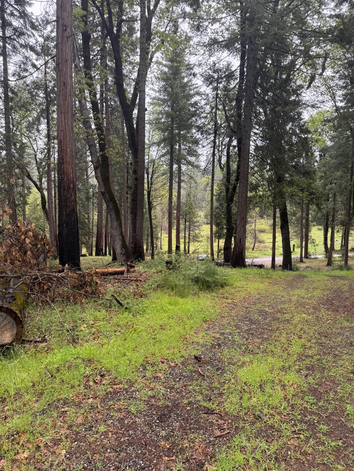 0 0 Lower Cressman, Auberry, CA 93602
