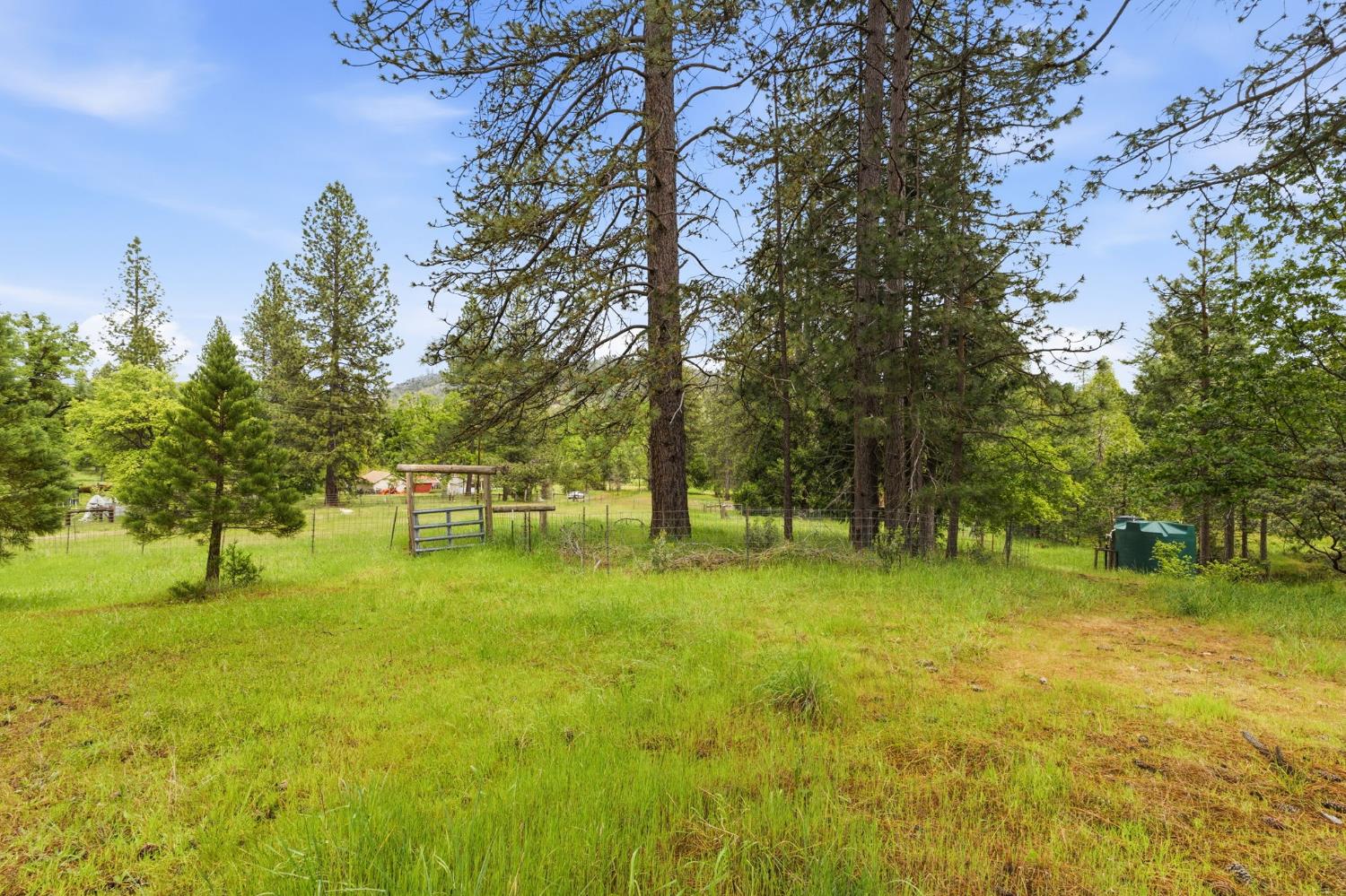7019 Scott Rd, Mariposa, CA 95338