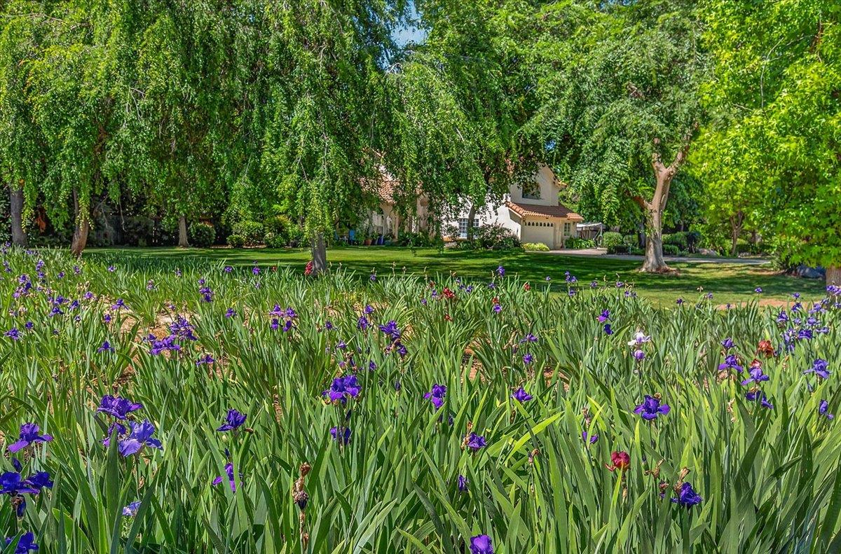 6155 Dockery Ave, Clovis, CA 93619