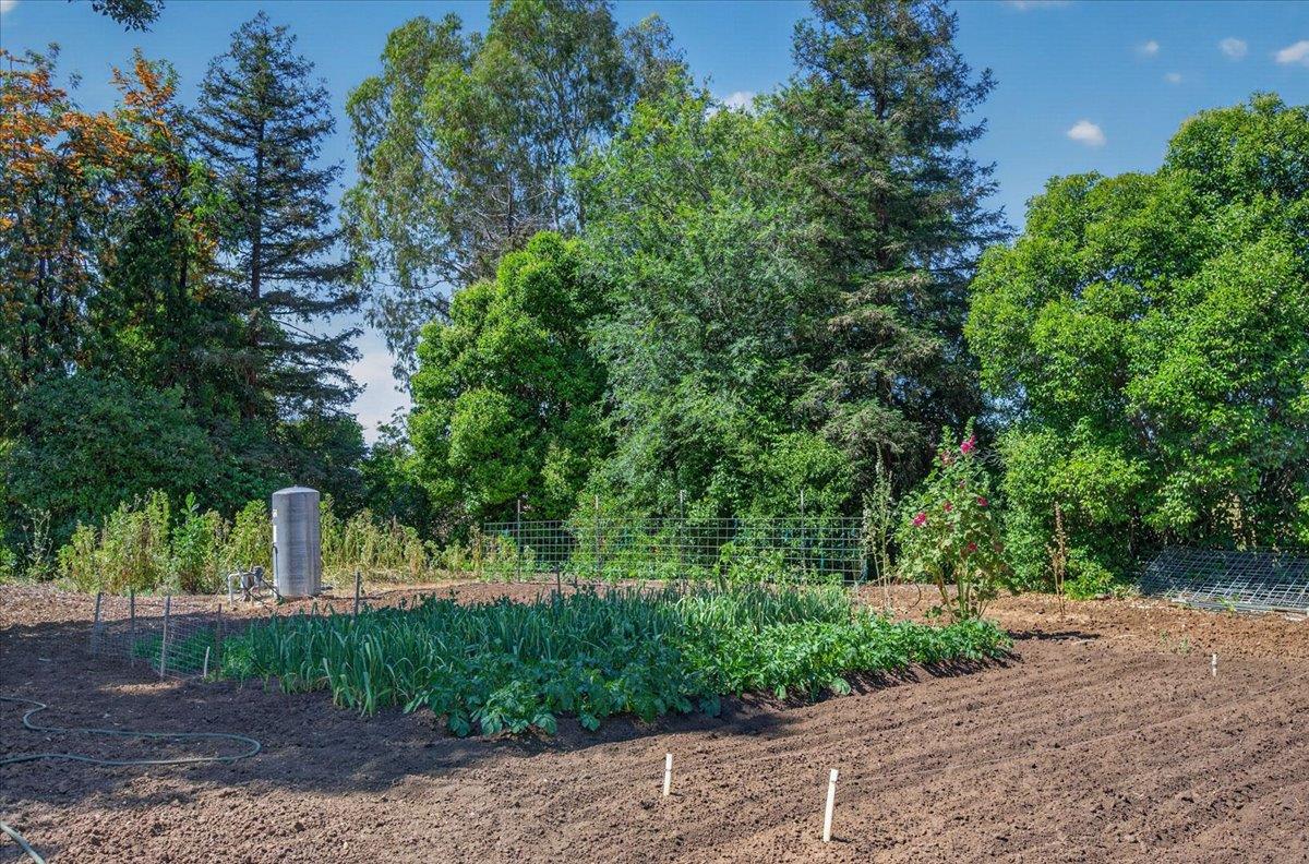 6155 Dockery Ave, Clovis, CA 93619