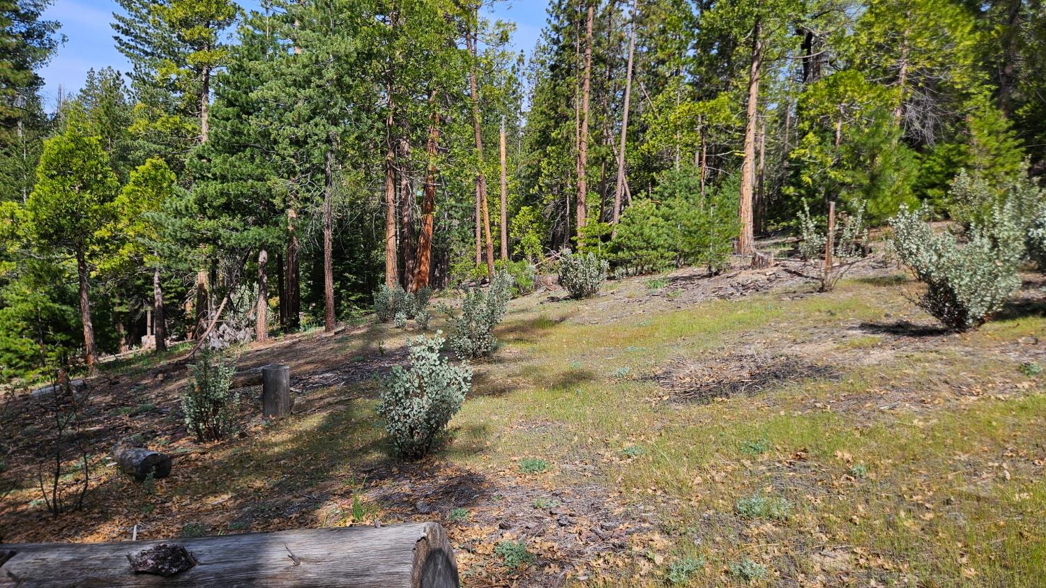 46336 Silvertip Way, North Fork, CA 93643