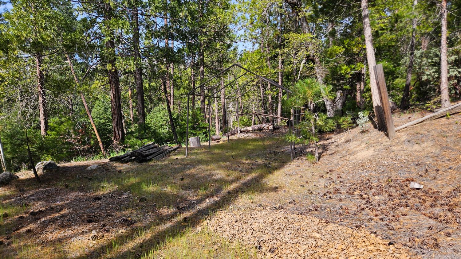 46336 Silvertip Way, North Fork, CA 93643