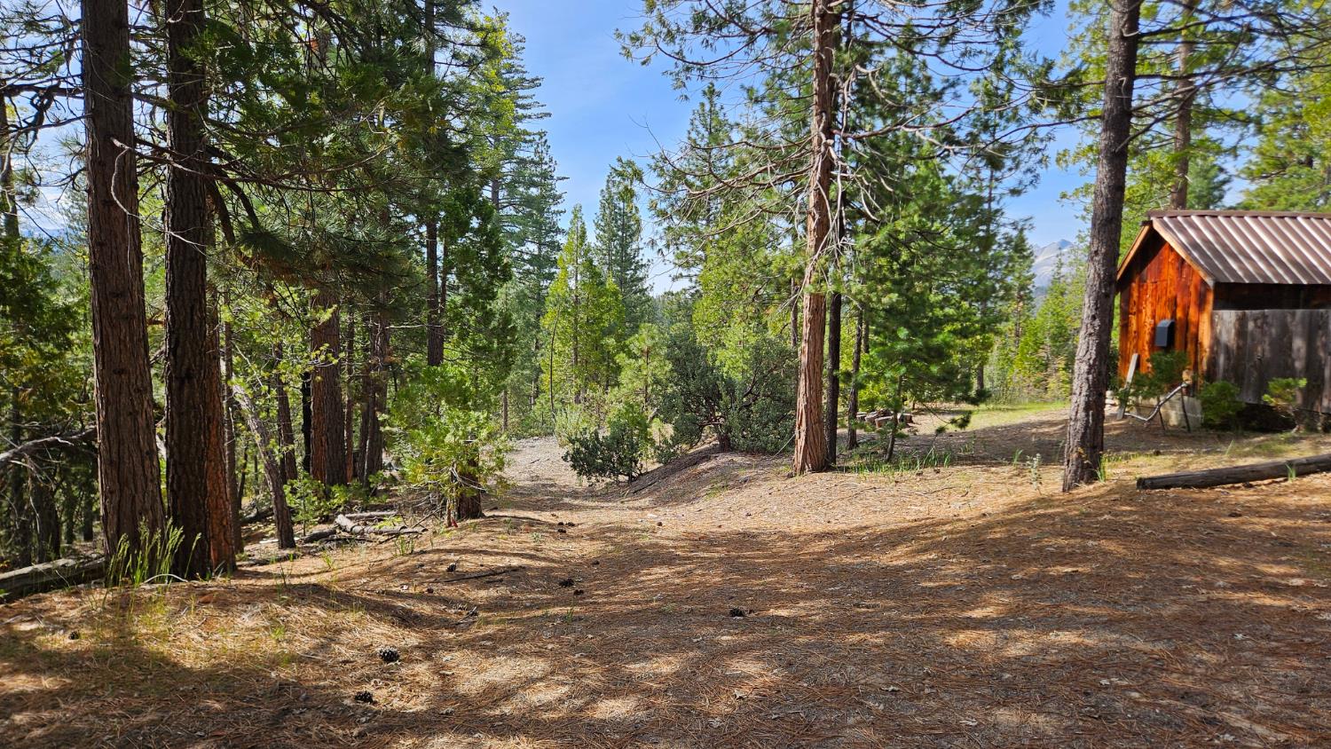 46336 Silvertip Way, North Fork, CA 93643