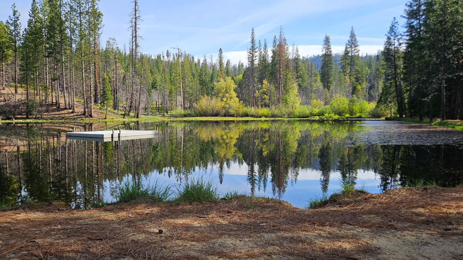 46336 Silvertip Way, North Fork, CA 93643