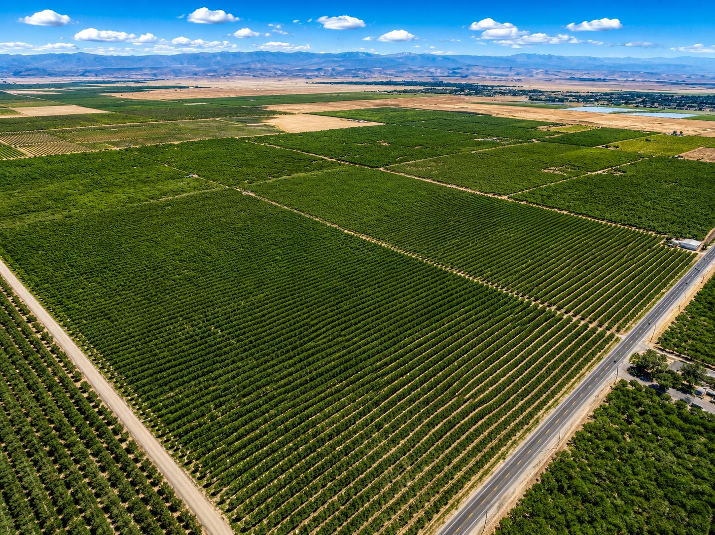 32487 Avenue 12, Madera, CA 93636