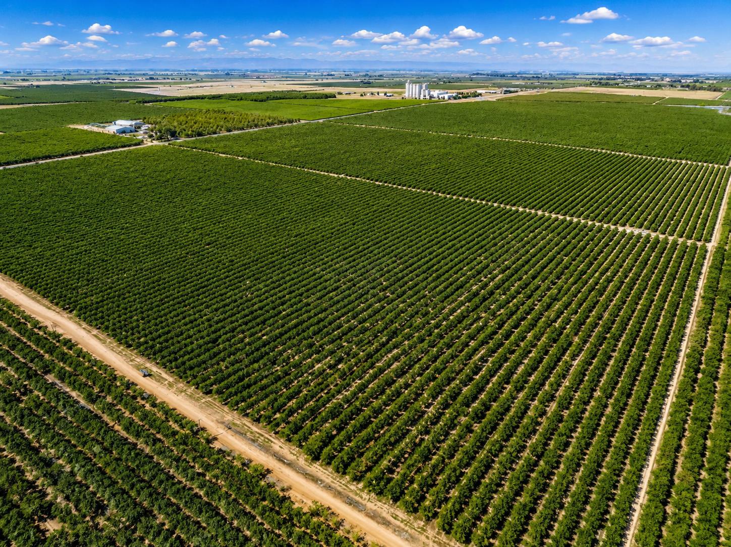 32487 Avenue 12, Madera, CA 93636