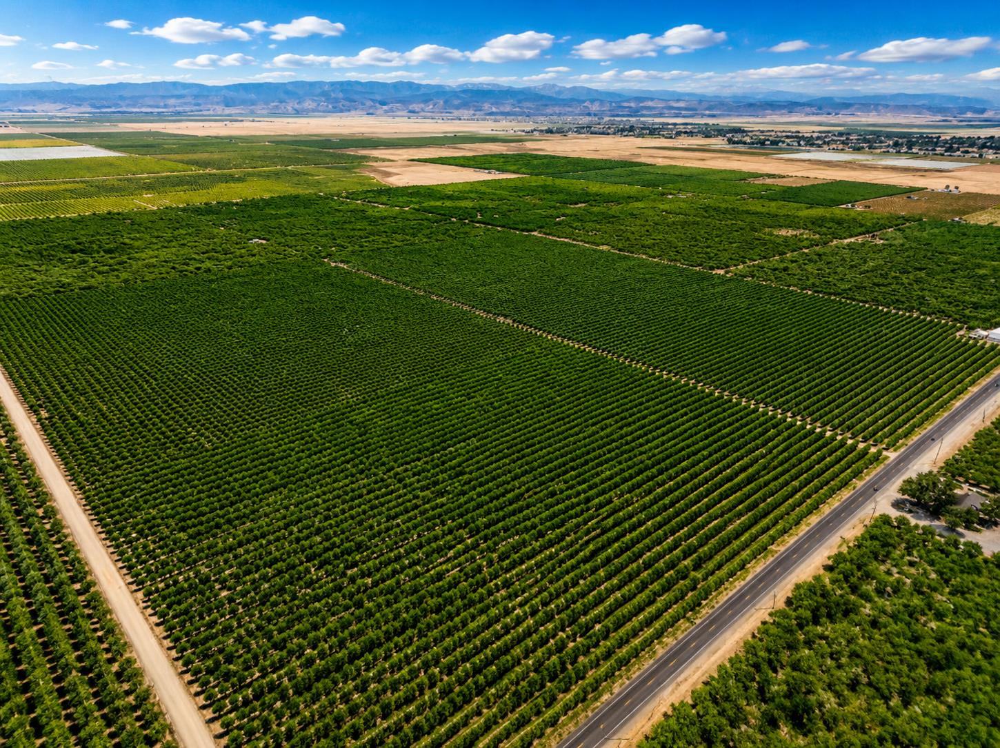 32487 Avenue 12, Madera, CA 93636