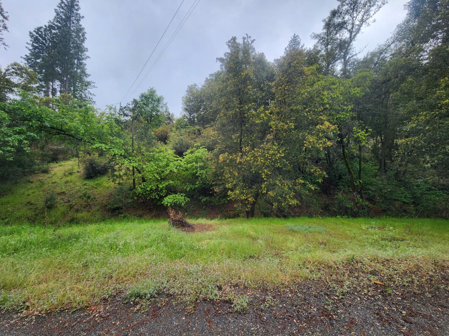 5135 Yosemite Oaks Dr, Mariposa, CA 95338