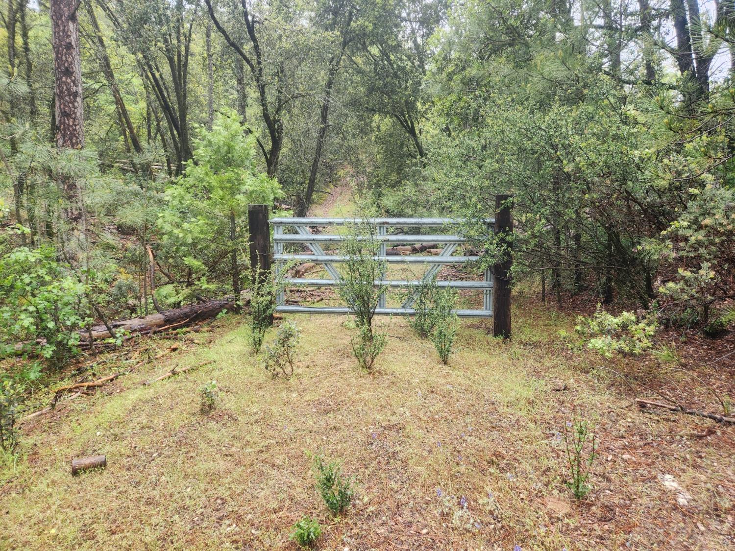 5135 Yosemite Oaks Dr, Mariposa, CA 95338