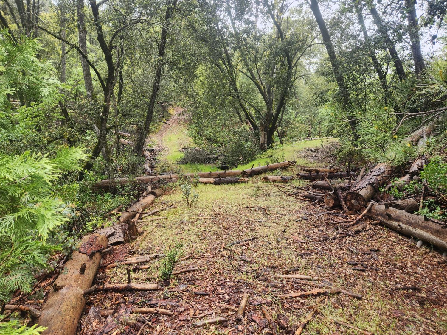 5135 Yosemite Oaks Dr, Mariposa, CA 95338