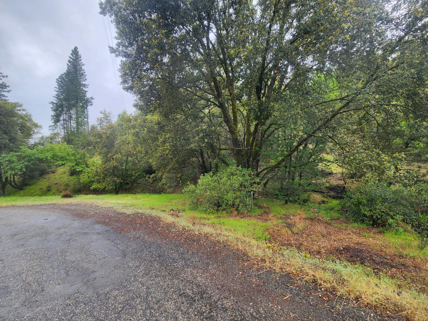 5135 Yosemite Oaks Dr, Mariposa, CA 95338