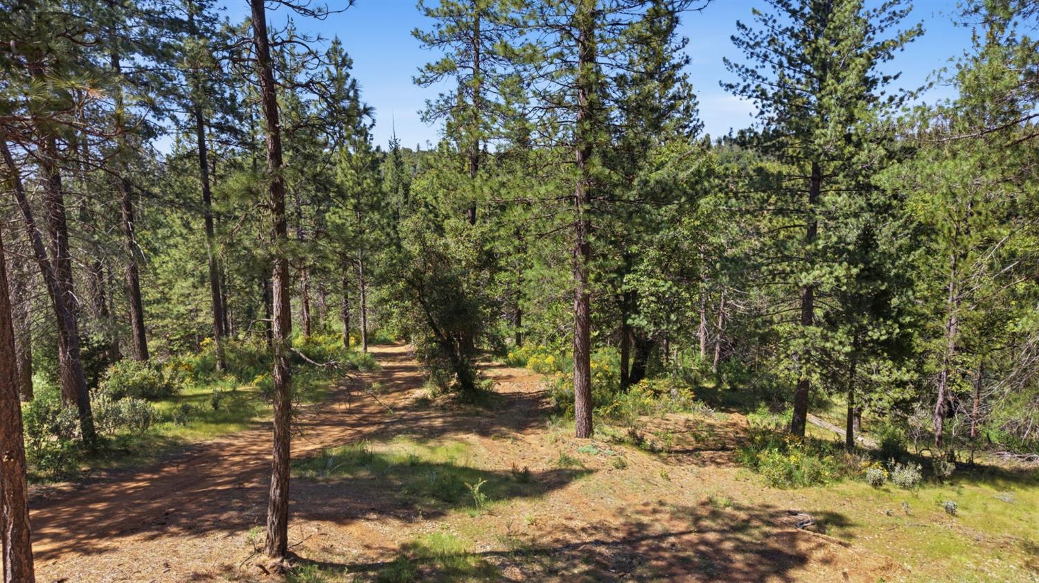 21552 Sprague, Groveland, CA 95321