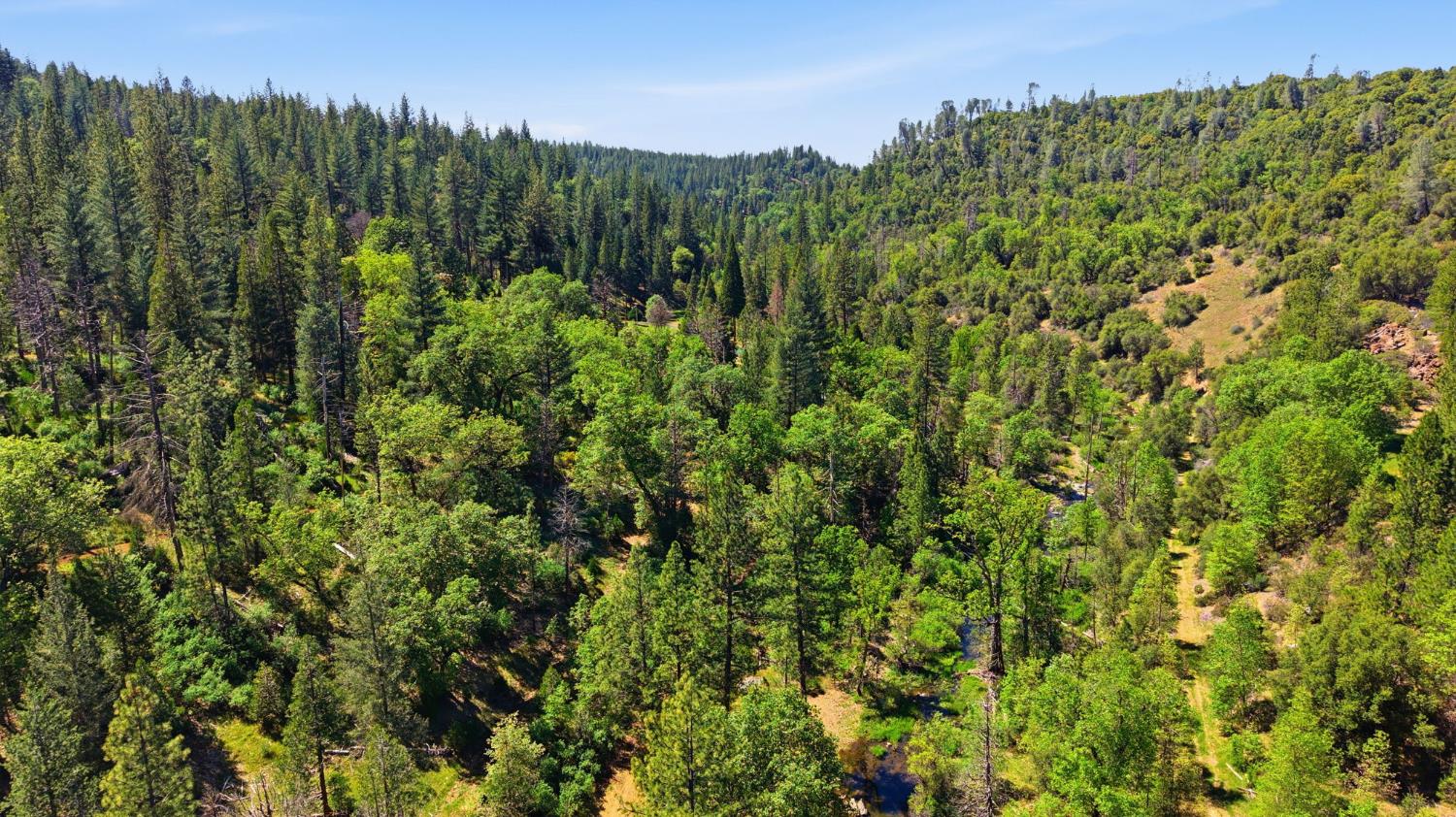 21552 Sprague, Groveland, CA 95321