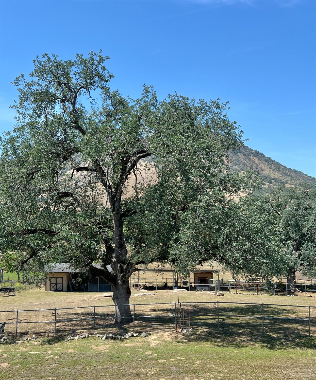 7197 Perlman Dr, Sanger, CA 93657