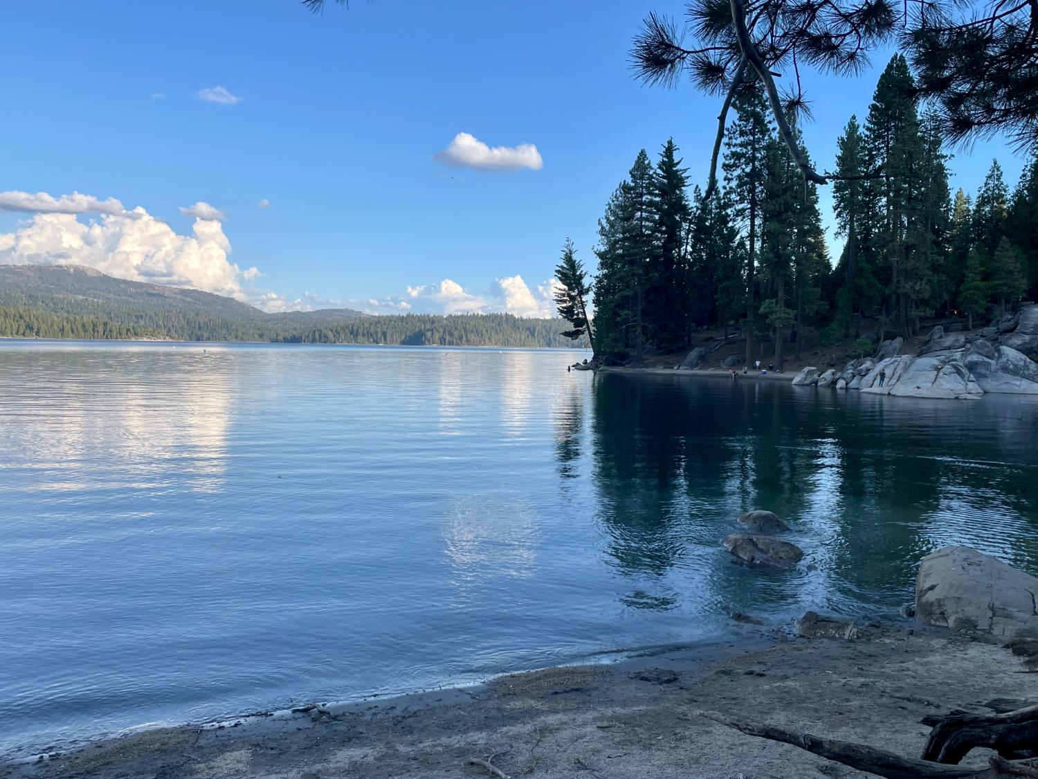 40806 Mill Run Ln, Shaver Lake, CA 93664