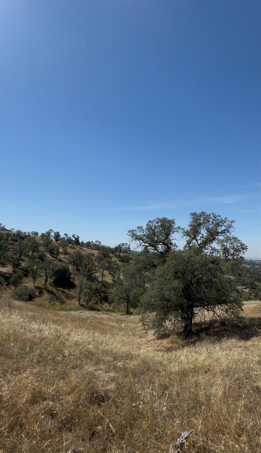 1578 Lilley Mountain, Coarsegold, CA 93614