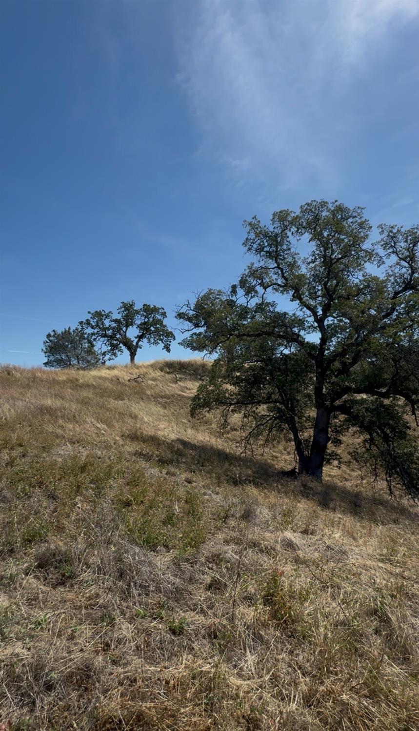 1578 Lilley Mountain, Coarsegold, CA 93614