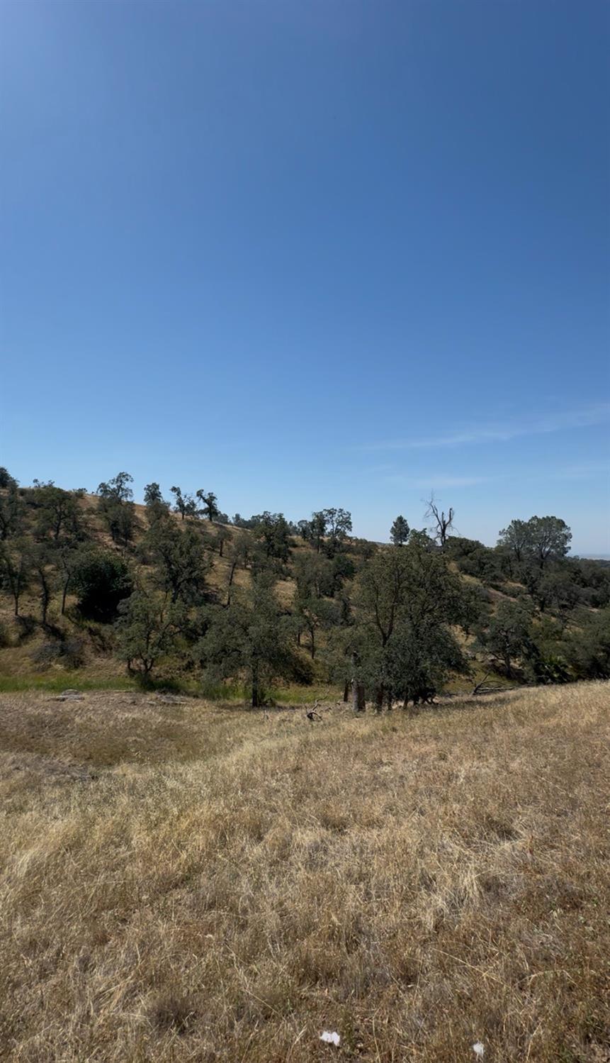 1578 Lilley Mountain, Coarsegold, CA 93614