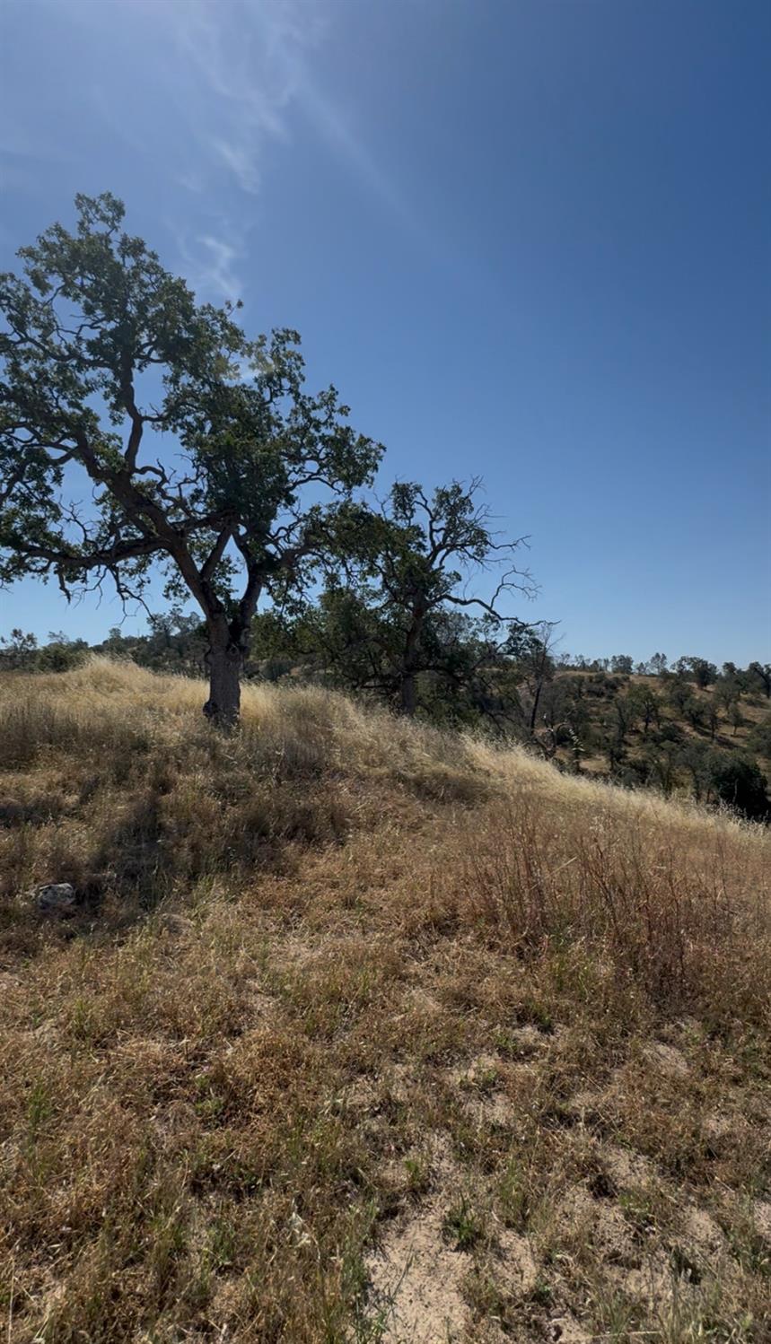 1578 Lilley Mountain, Coarsegold, CA 93614