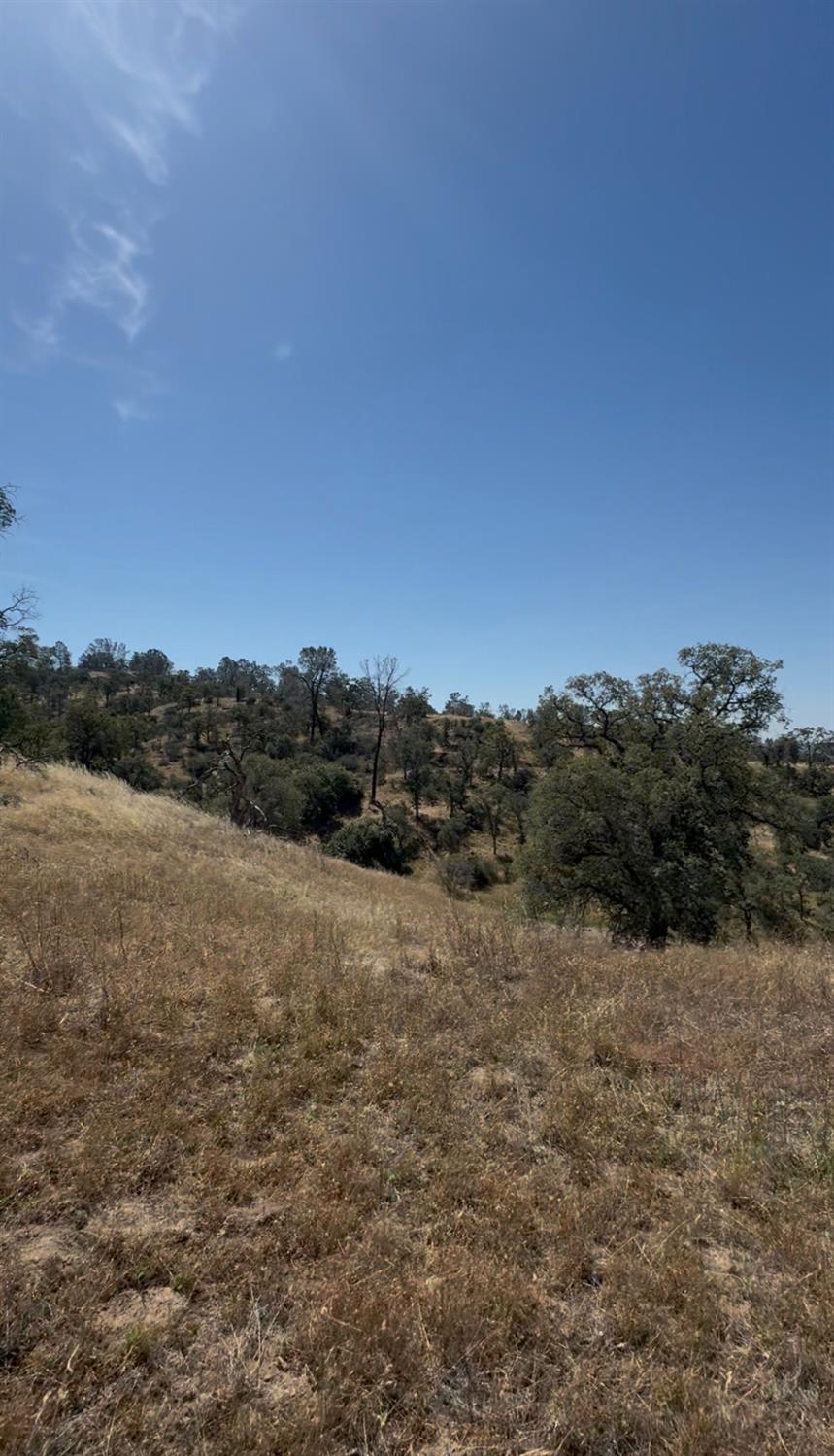 1578 Lilley Mountain, Coarsegold, CA 93614