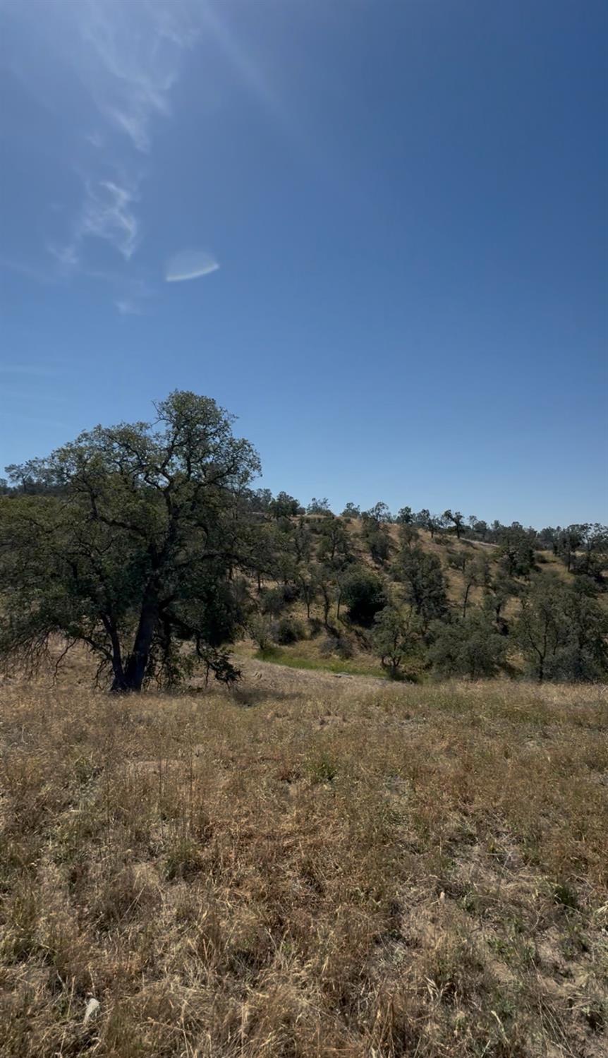1578 Lilley Mountain, Coarsegold, CA 93614
