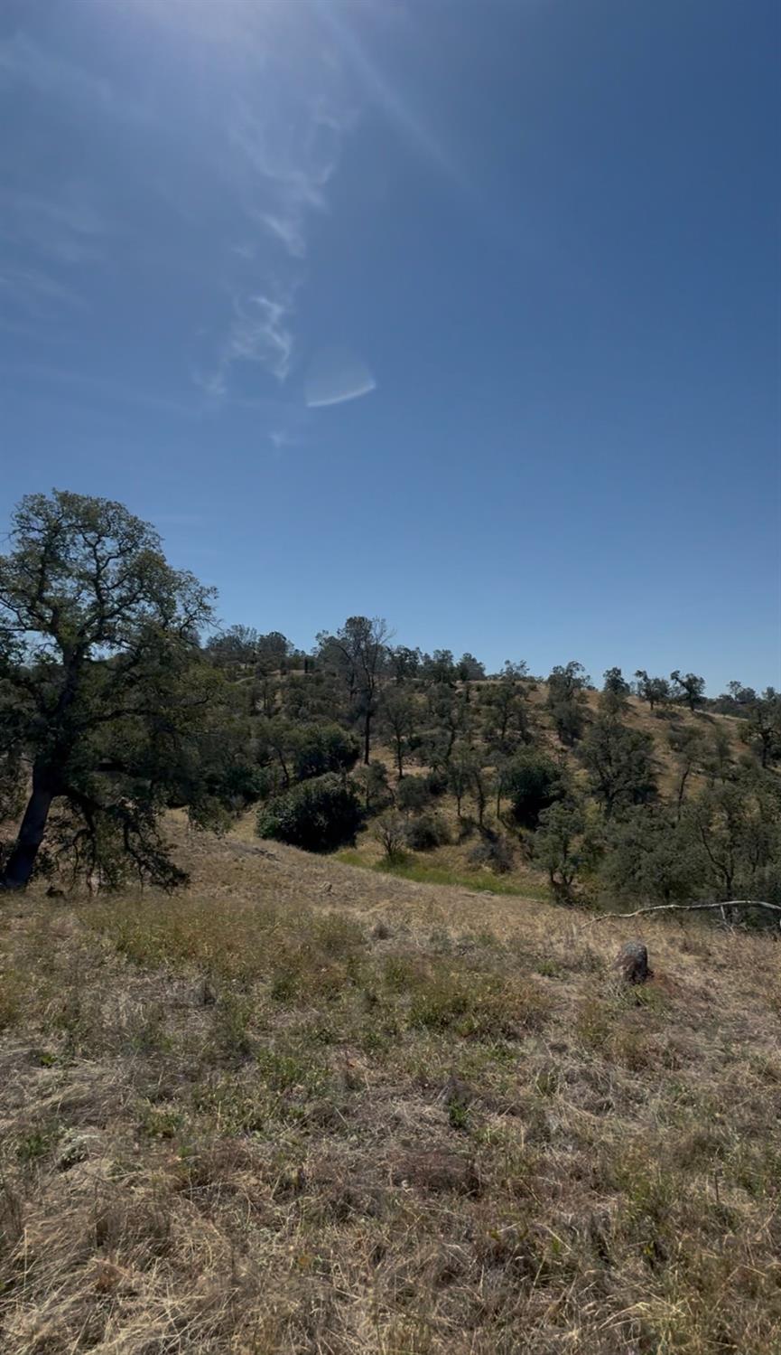 1578 Lilley Mountain, Coarsegold, CA 93614