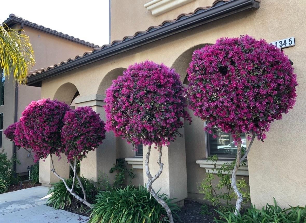 11345 N Via Montessori Dr, Fresno, CA 93730