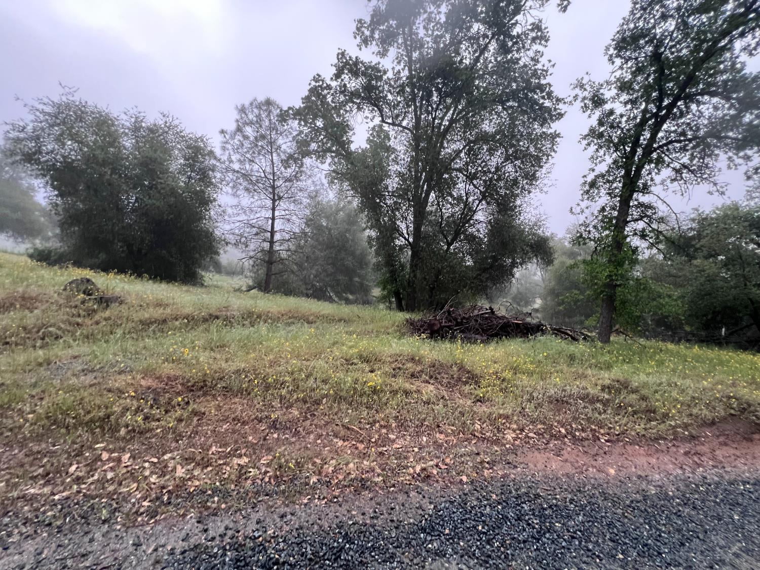 5 Acre Glenn Baker Rd, Ahwahnee, CA 93601
