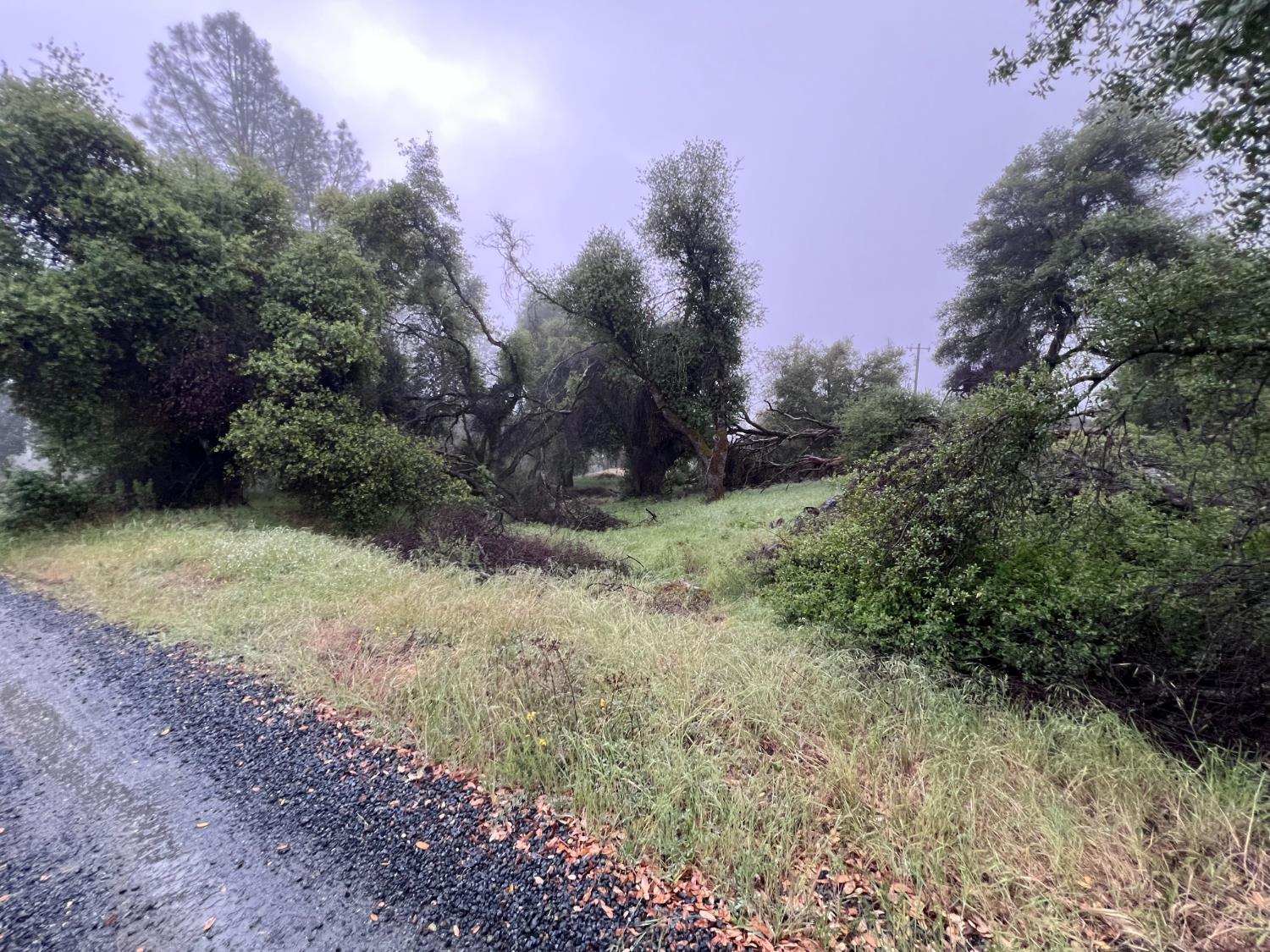 5 Acre Glenn Baker Rd, Ahwahnee, CA 93601