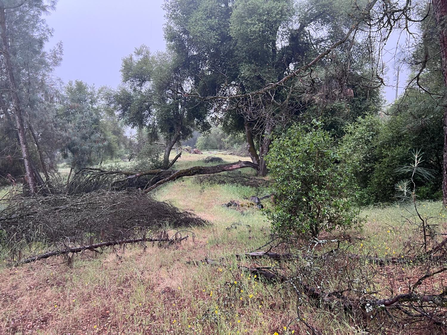 5 Acre Glenn Baker Rd, Ahwahnee, CA 93601