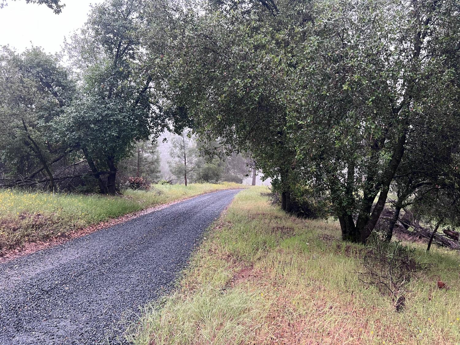5 Acre Glenn Baker Rd, Ahwahnee, CA 93601