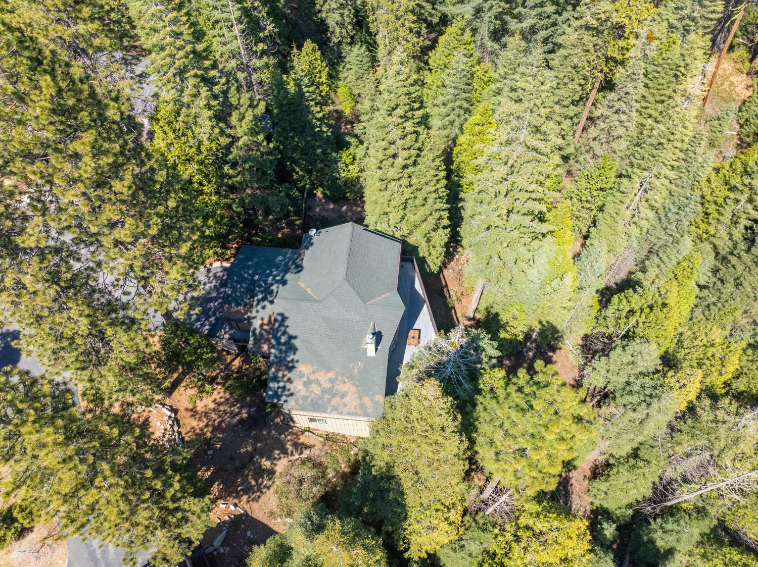 40322 Mariposa Lilly Ln, Shaver Lake, CA 93664