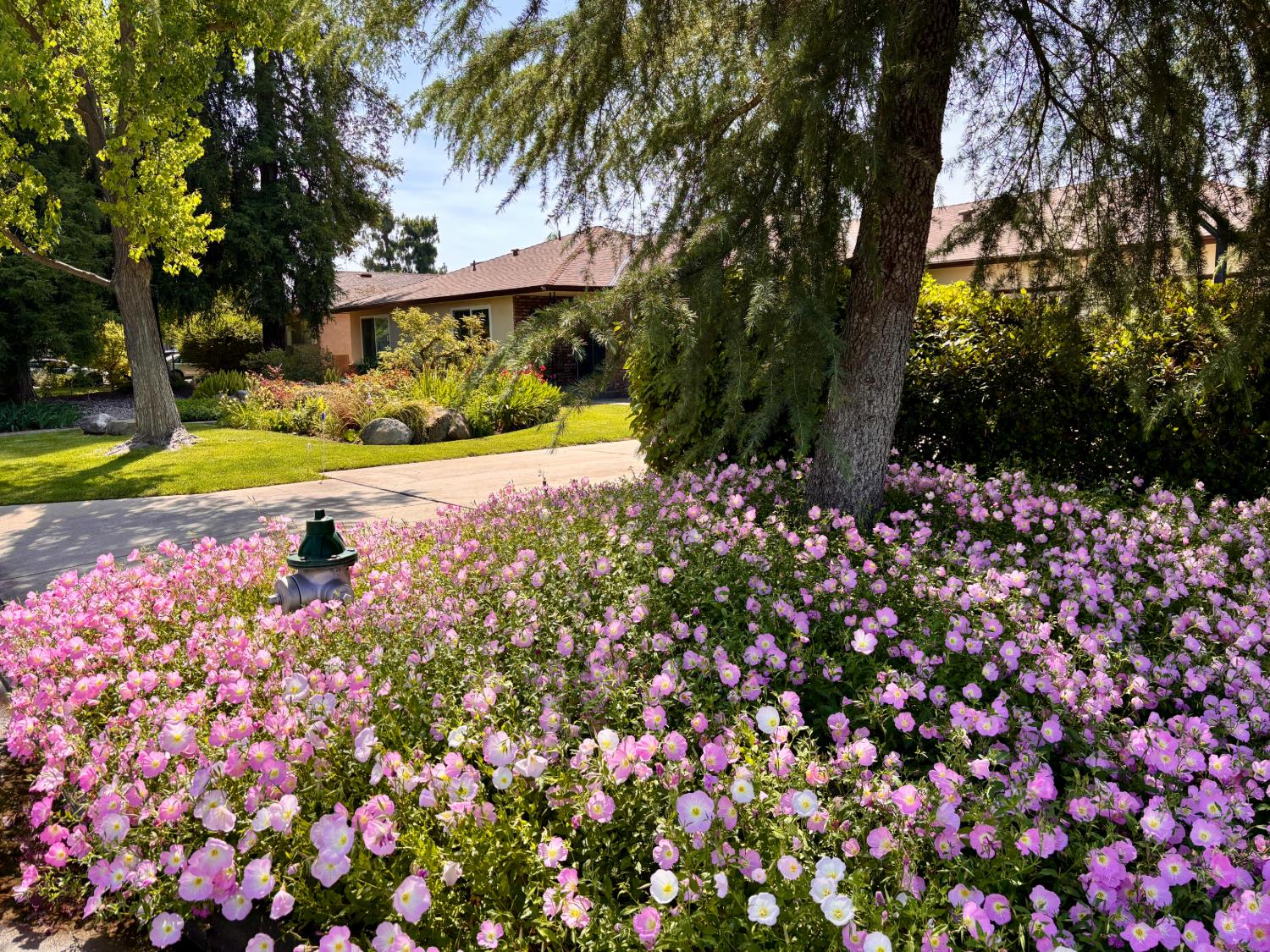 1775 W Tenaya Way, Fresno, CA 93711