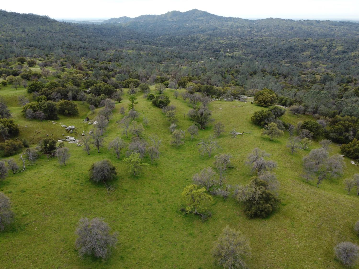 50994 Road 210, Friant, CA 93626
