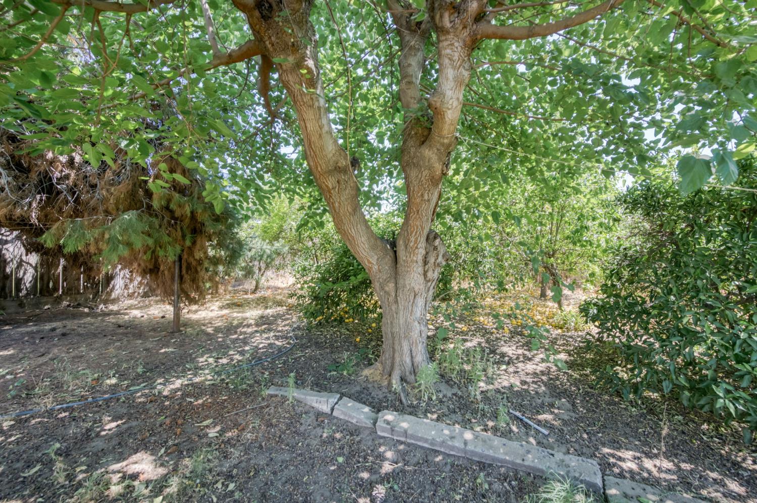 3518 E Clay Ave, Fresno, CA 93702