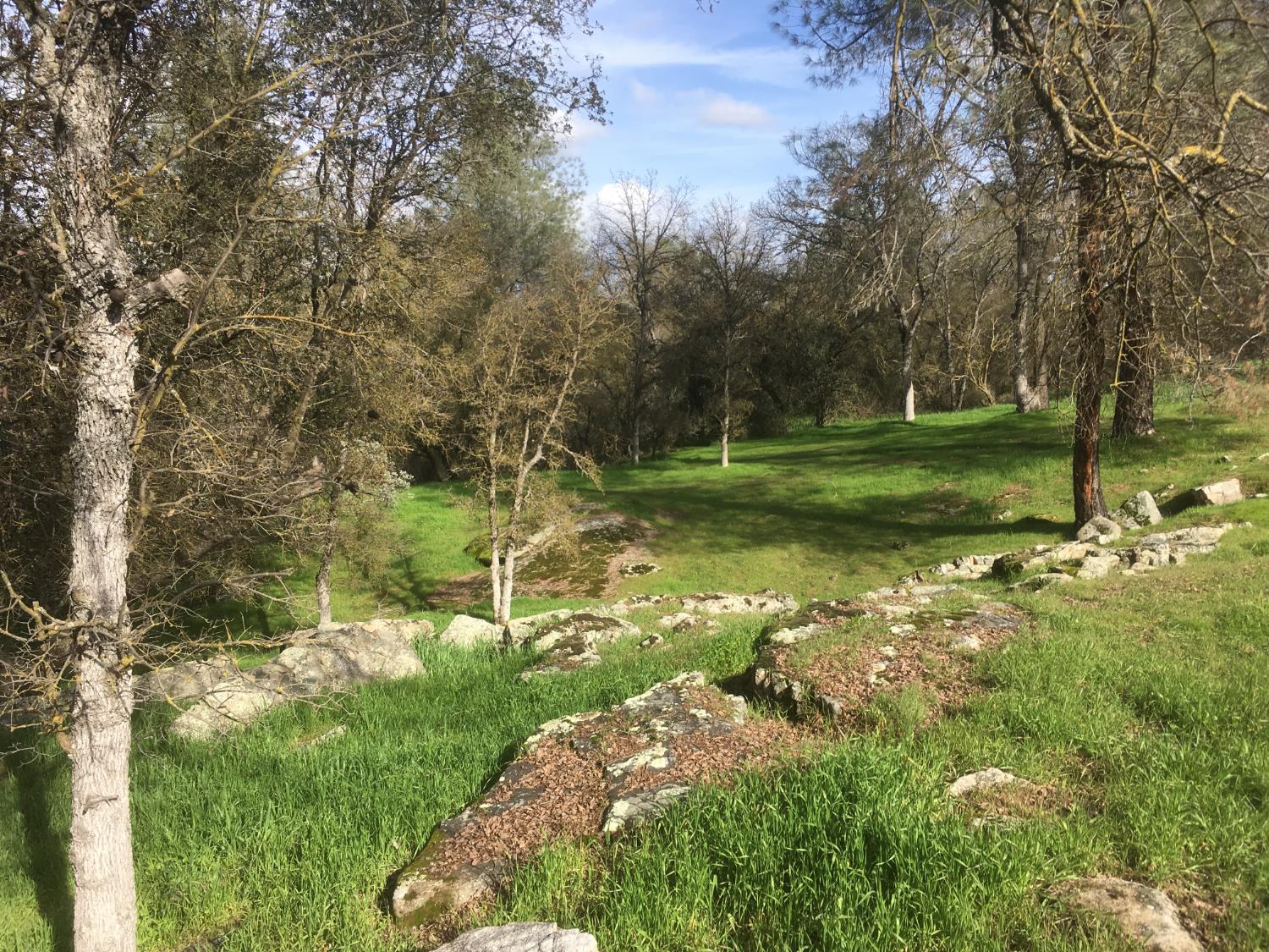 71 Rd 400, Coarsegold, CA 93614