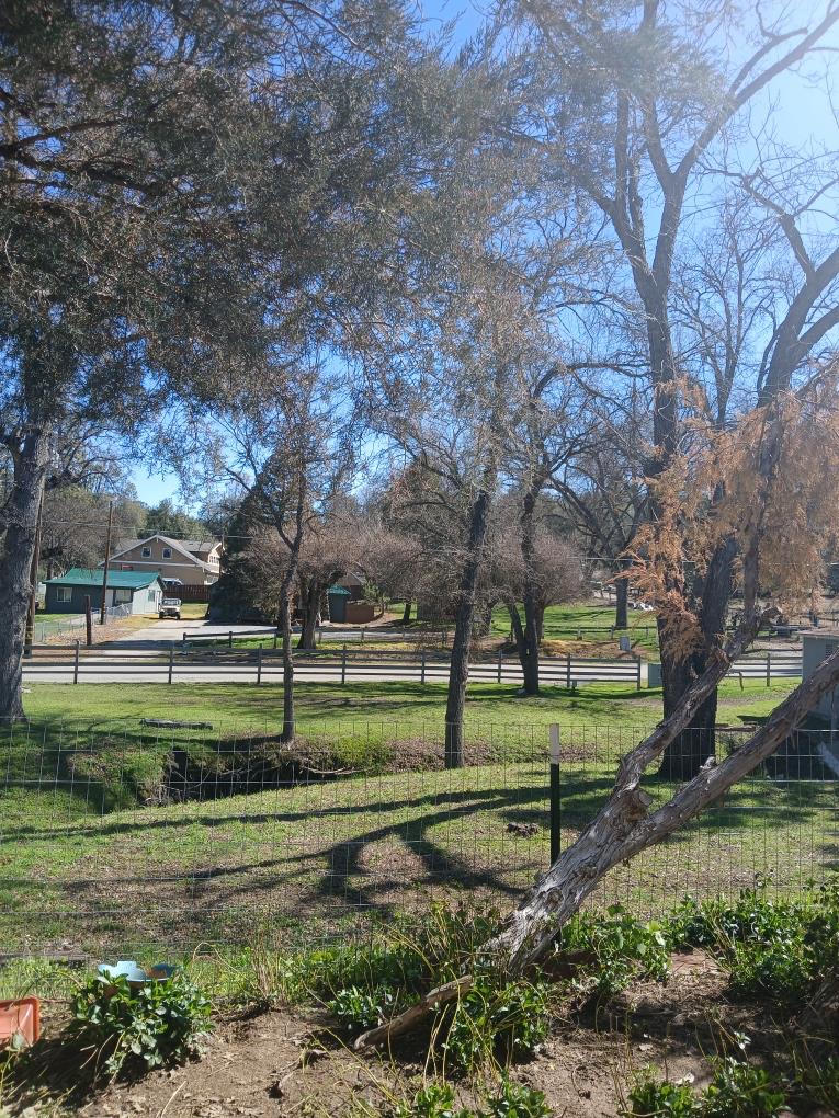 39678 Road 425B #SPC93, Oakhurst, CA 93644
