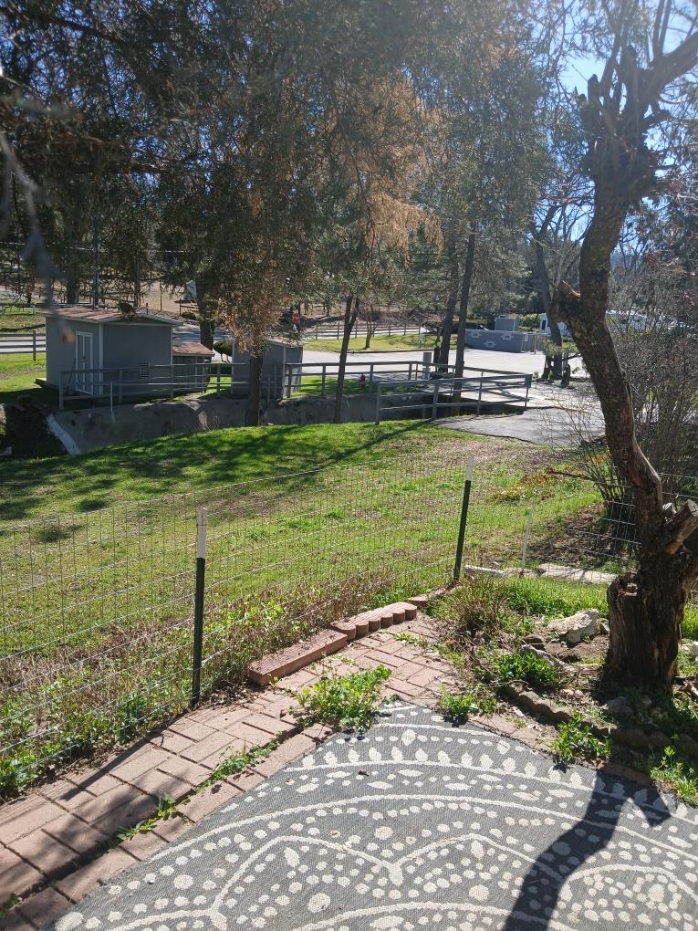 39678 Road 425B #SPC93, Oakhurst, CA 93644