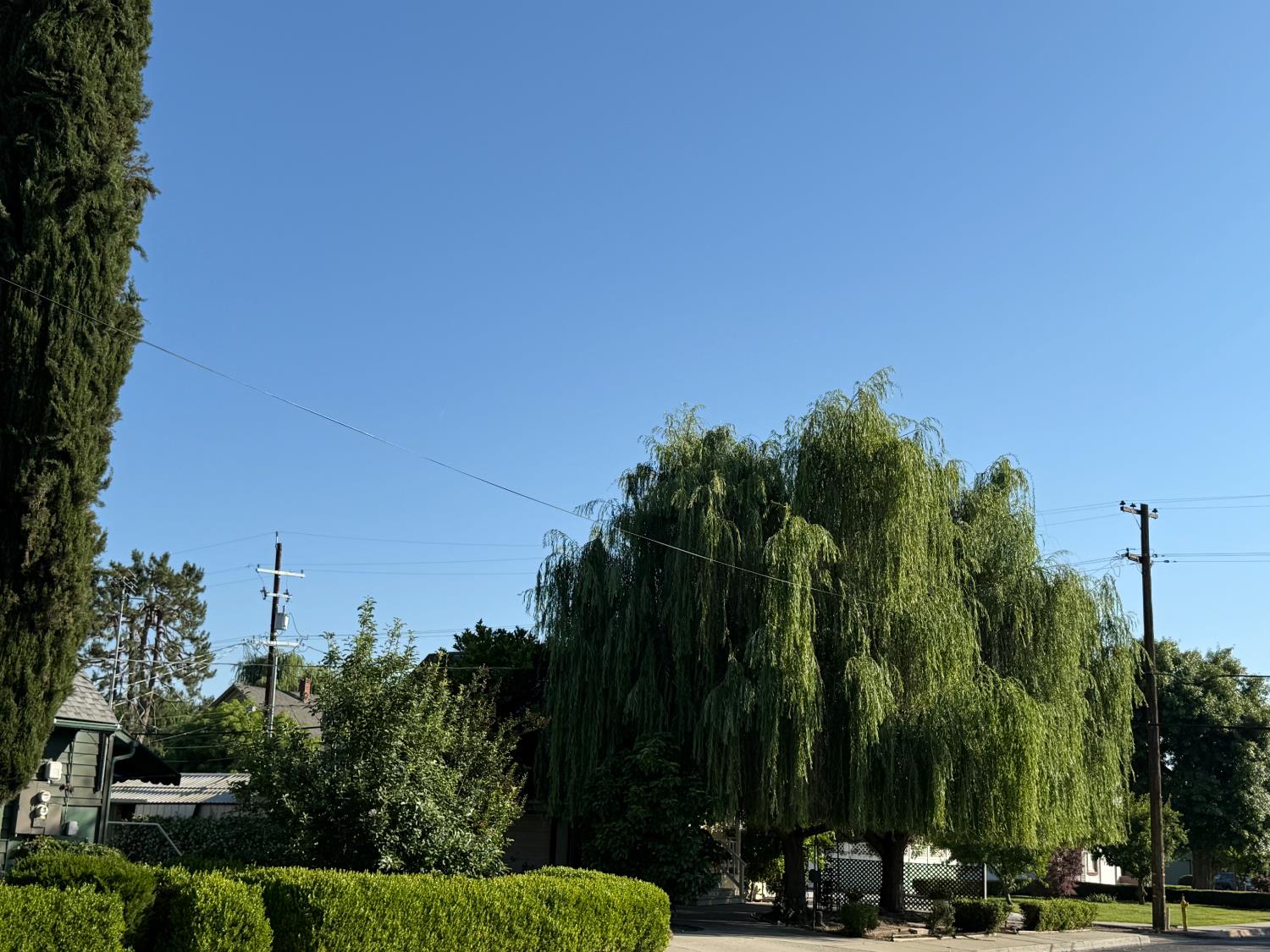 1300 Marion St, Kingsburg, CA 631