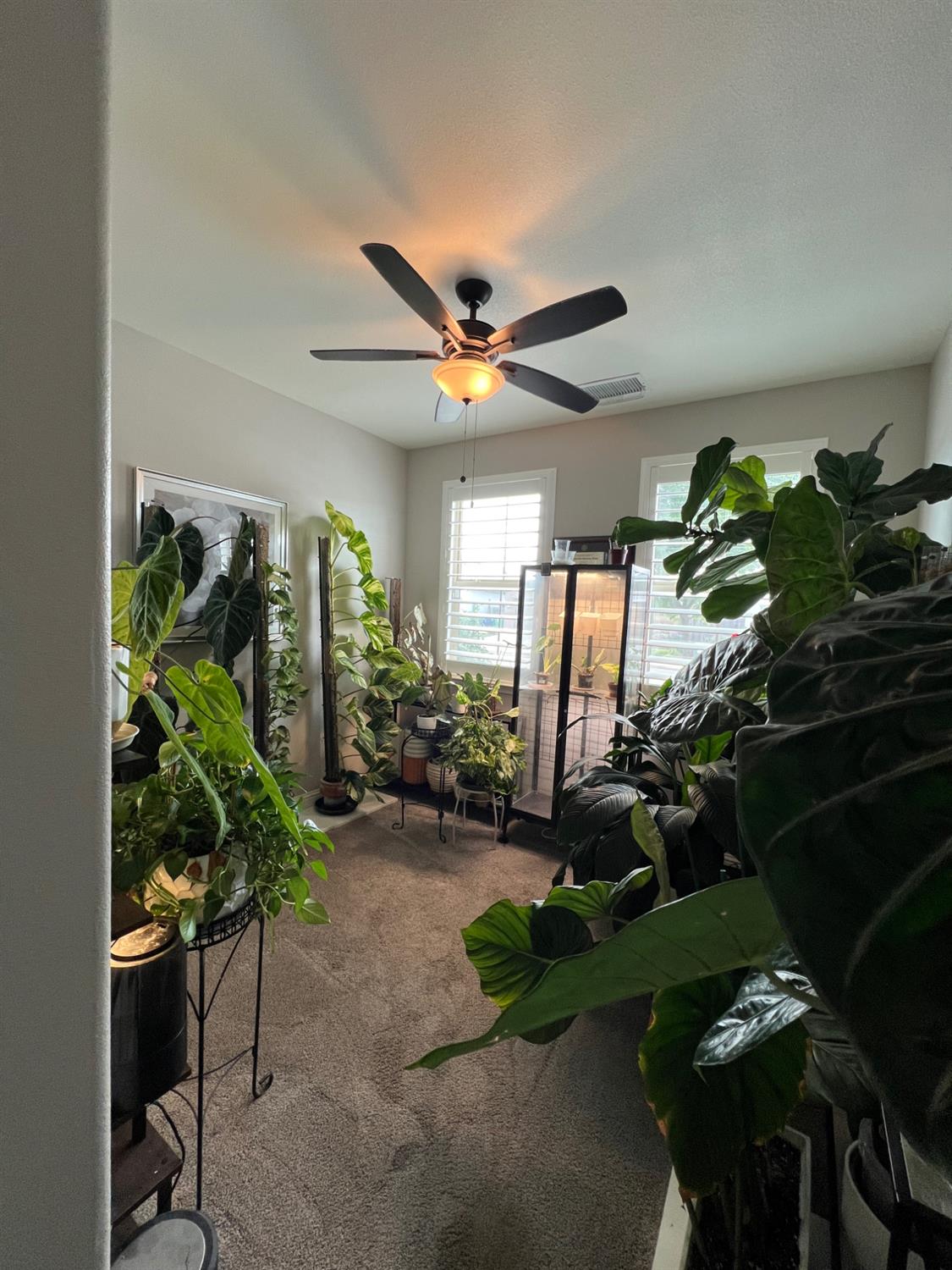 889 Coloma Pl, Madera, CA 93637