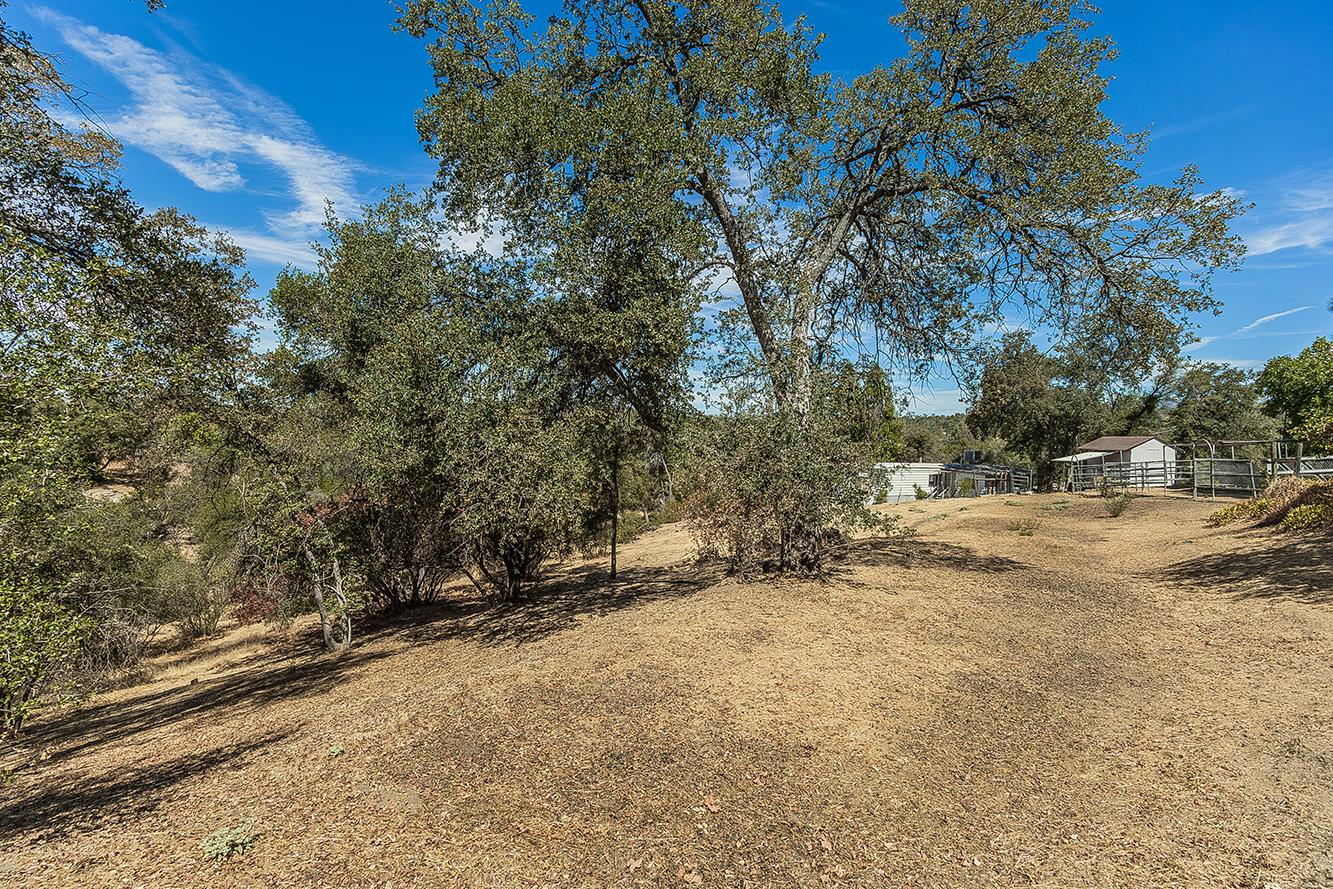 46232 Road 417, Coarsegold, CA 93614