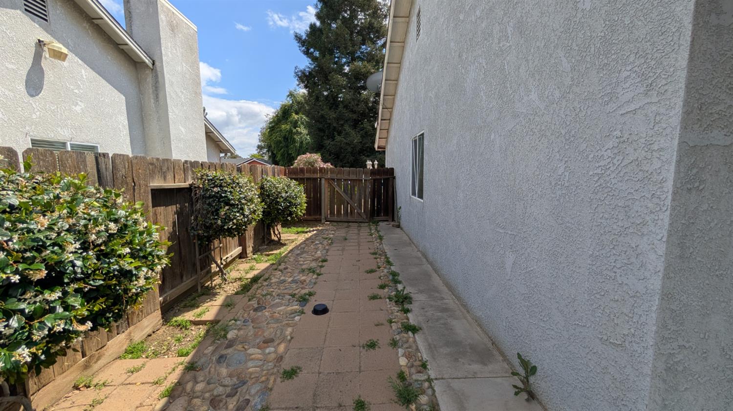 575 Macadamia Ave, Madera, CA 93637