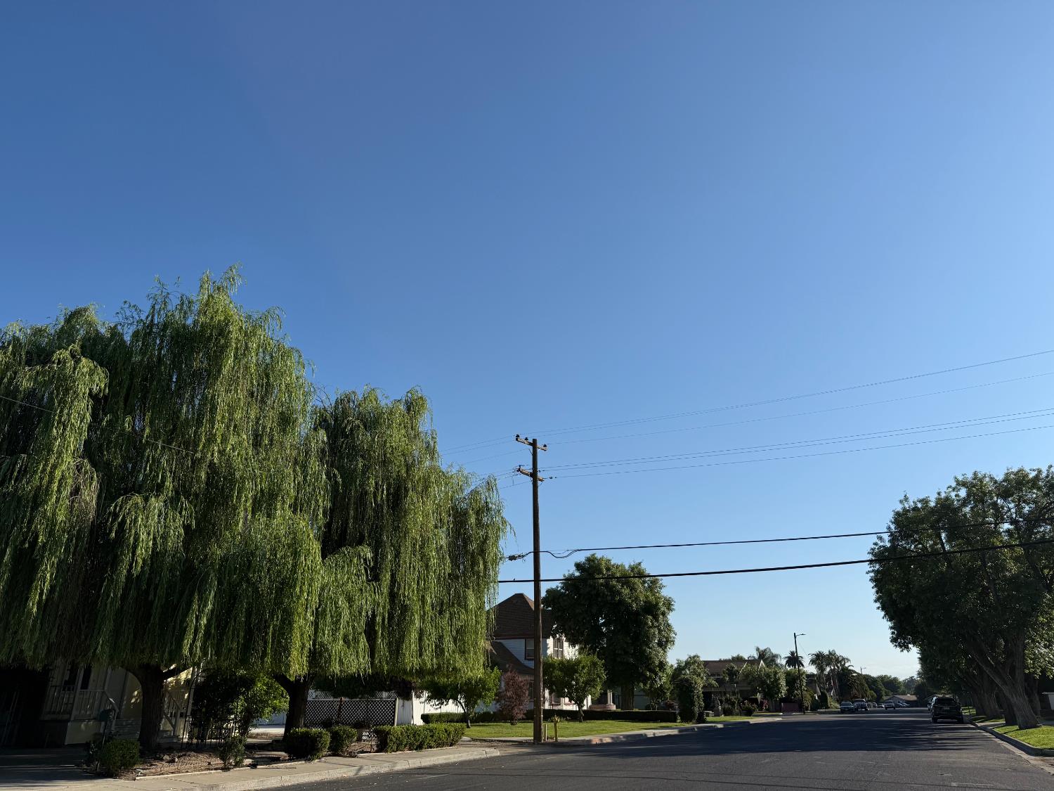1300 Marion St, Kingsburg, CA 631