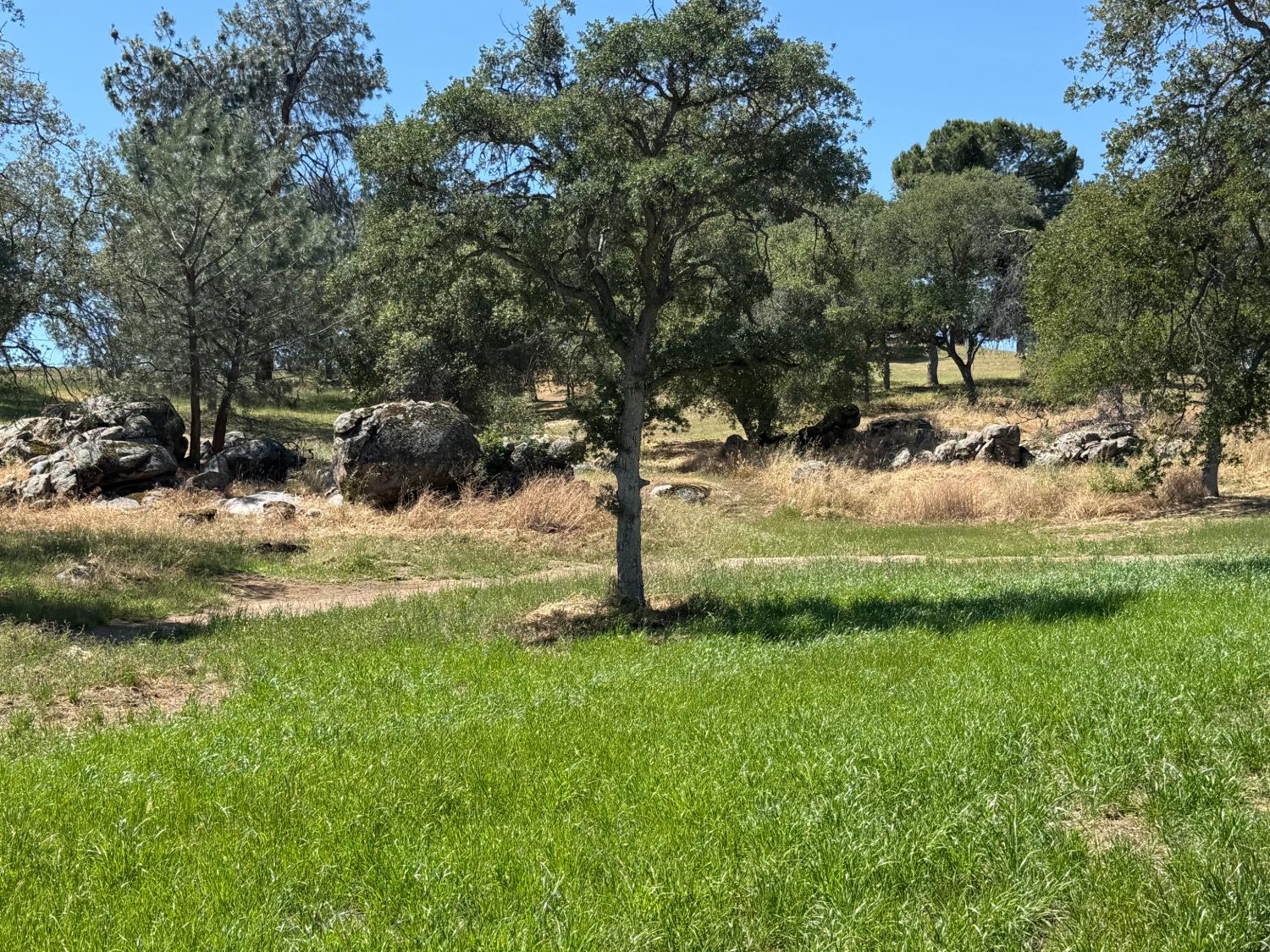 958 Kings Canyon Ct., Coarsegold, CA 93614