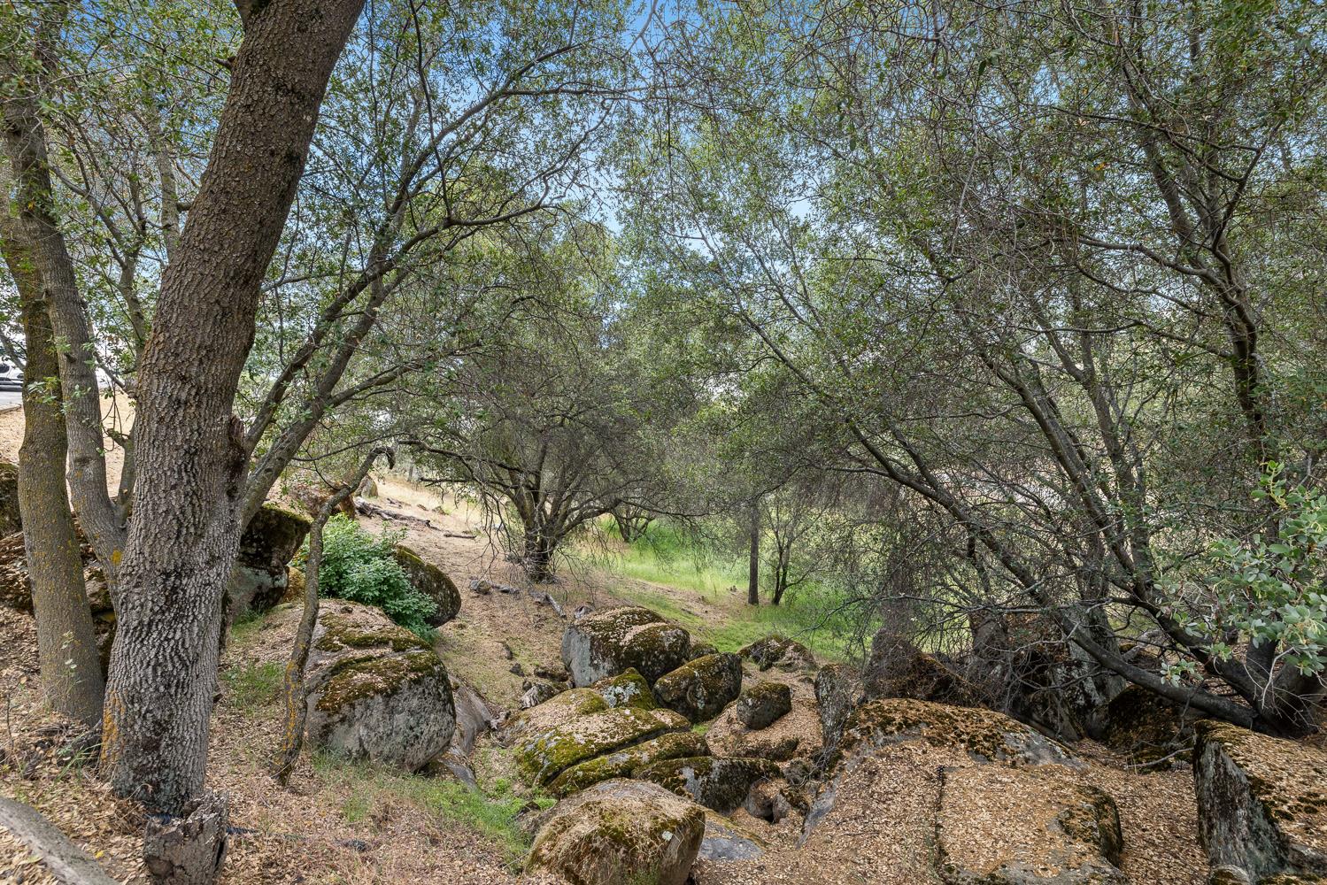 41570 Long Hollow Dr, Coarsegold, CA 93614