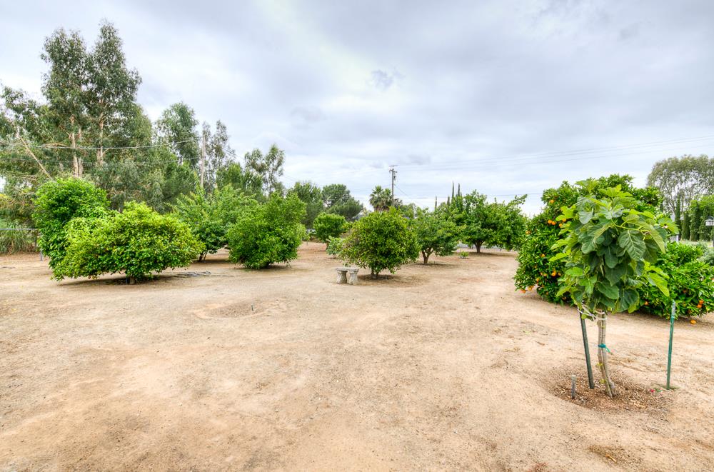 17465 Monreal Rd, Madera, CA 93636